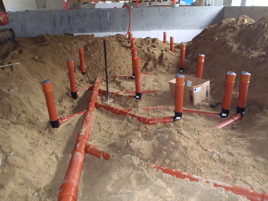 P9040178.25 jul træ